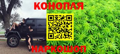 крисы Кинель