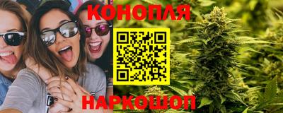 наркотики Кингисепп