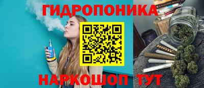 крисы Кинель