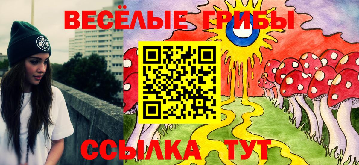 Галлюциногенные грибы Psilocybe  Галлюциногенные грибы ЛСД  Жуковский  Вход с VPN 